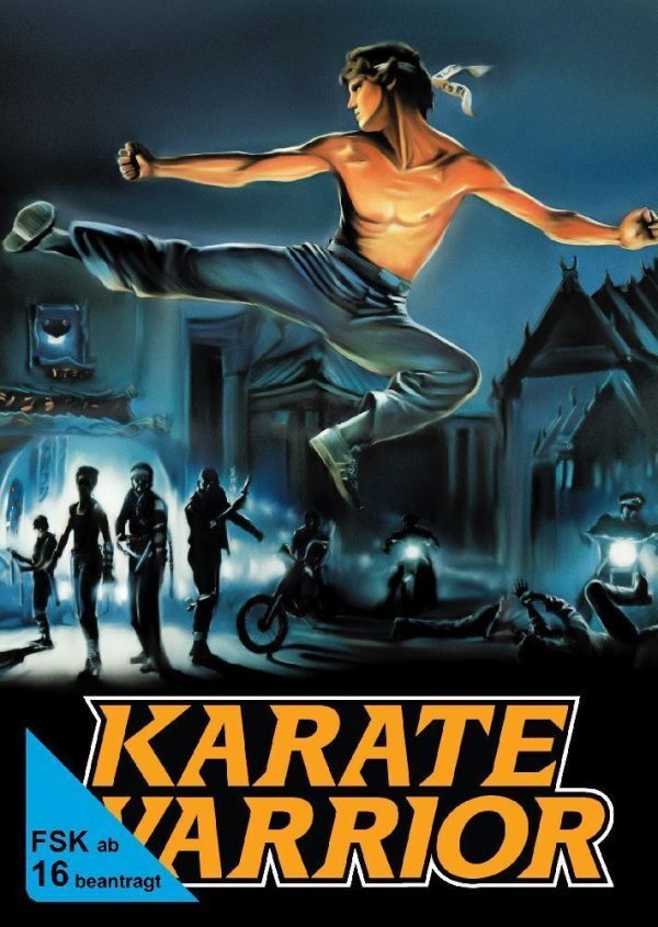 Karate Warrior DVD